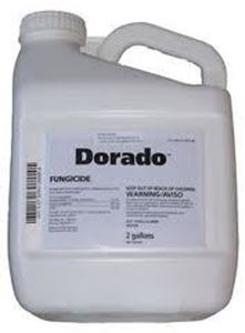 Picture of Dorado Propiconazole Fungicide Generic Banner MAXX II
